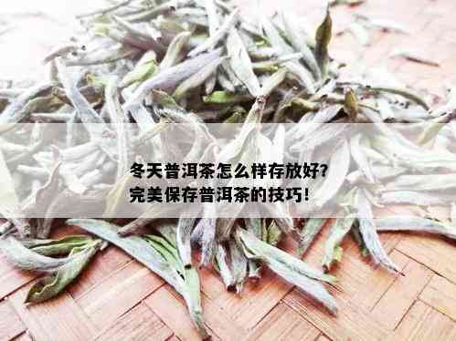 冬天普洱茶怎么样存放好？完美保存普洱茶的技巧！