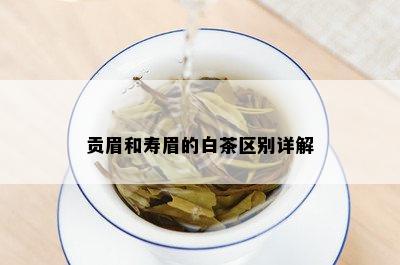 贡眉和寿眉的白茶区别详解