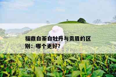 福鼎白茶白牡丹与贡眉的区别：哪个更好？