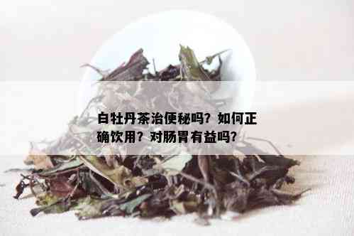 白牡丹茶治便秘吗？如何正确饮用？对肠胃有益吗？