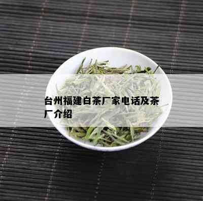 台州福建白茶厂家电话及茶厂介绍