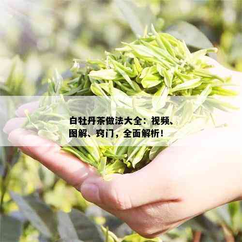 白牡丹茶做法大全：视频、图解、窍门，全面解析！