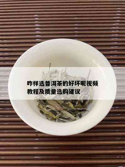 咋样选普洱茶的好坏呢视频教程及质量选购建议