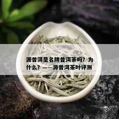 源普洱是名牌普洱茶吗？为什么？——源普洱茶叶评测