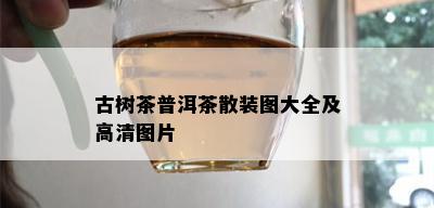 古树茶普洱茶散装图大全及高清图片