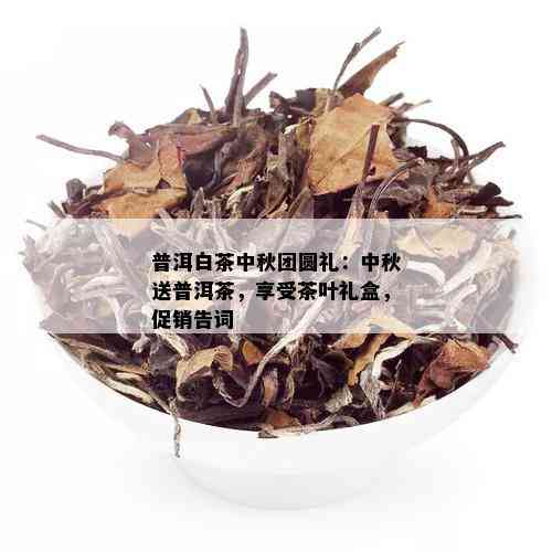 普洱白茶中秋团圆礼：中秋送普洱茶，享受茶叶礼盒，促销告词