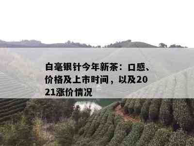 白毫银针今年新茶：口感、价格及上市时间，以及2021涨价情况