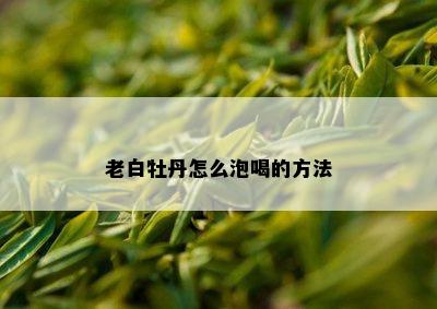 老白牡丹怎么泡喝的方法