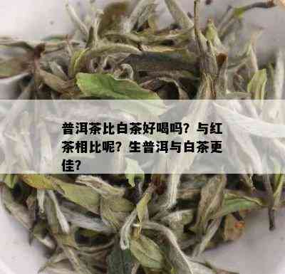 普洱茶比白茶好喝吗？与红茶相比呢？生普洱与白茶更佳？