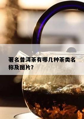 著名普洱茶有哪几种茶类名称及图片？