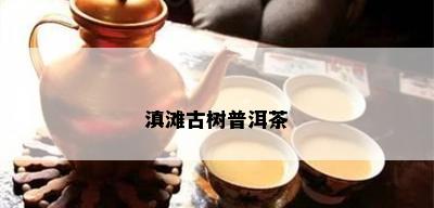 滇滩古树普洱茶