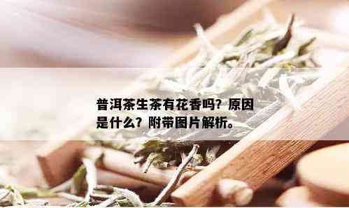 普洱茶生茶有花香吗？原因是什么？附带图片解析。