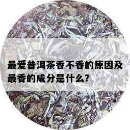 更爱普洱茶香不香的原因及最香的成分是什么？