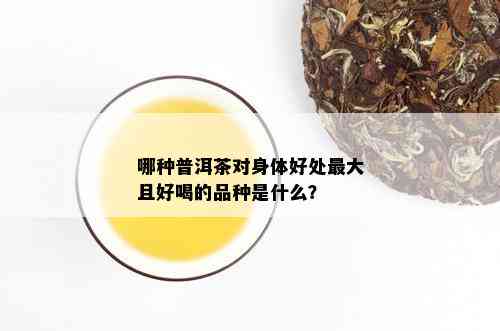 哪种普洱茶对身体好处更大且好喝的品种是什么？