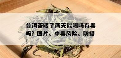 普洱茶晒了两天能喝吗有吗？图片、中风险、防措！