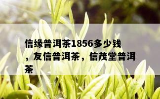 信缘普洱茶1856多少钱，友信普洱茶，信茂堂普洱茶