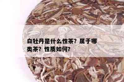 白牡丹是什么性茶？属于哪类茶？性质如何？