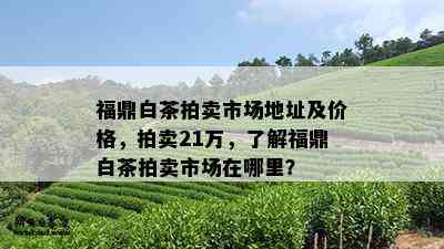 福鼎白茶拍卖市场地址及价格，拍卖21万，了解福鼎白茶拍卖市场在哪里？