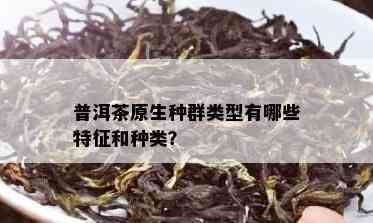 普洱茶原生种群类型有哪些特征和种类？