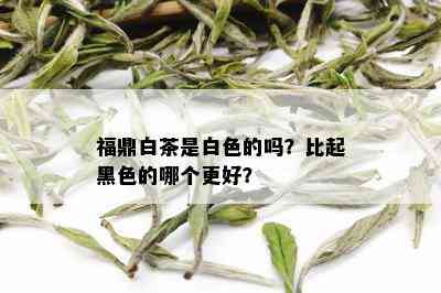 福鼎白茶是白色的吗？比起黑色的哪个更好？