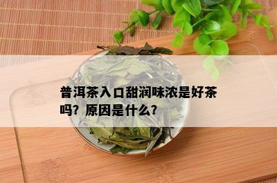 普洱茶入口甜润味浓是好茶吗？原因是什么？