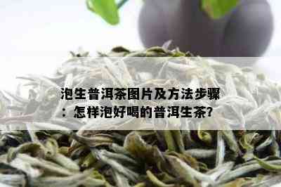 泡生普洱茶图片及方法步骤：怎样泡好喝的普洱生茶？