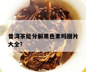 普洱茶能分解黑色素吗图片大全？