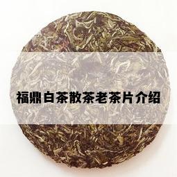 福鼎白茶散茶老茶片介绍