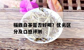 福鼎白茶是否好喝？优劣区分及口感评测