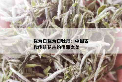 裁为白裁为白牡丹：中国古代传统花卉的优雅之美