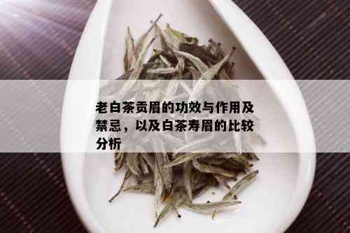 老白茶贡眉的功效与作用及禁忌，以及白茶寿眉的比较分析