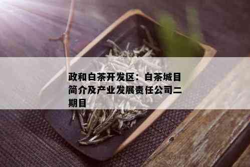 政和白茶开发区：白茶城目简介及产业发展责任公司二期目