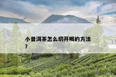 小普洱茶怎么切开喝的方法？