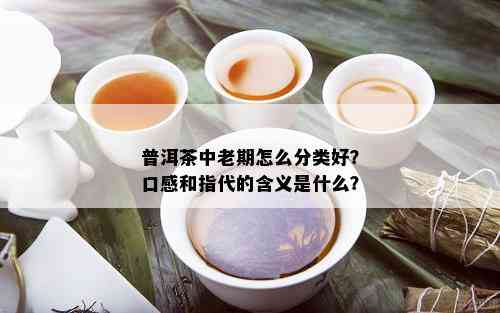 普洱茶中老期怎么分类好？口感和指代的含义是什么？