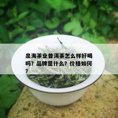 泉海茶业普洱茶怎么样好喝吗？品牌是什么？价格如何？