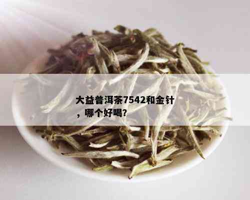 大益普洱茶7542和金针，哪个好喝？