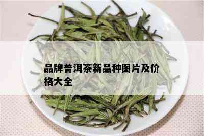 品牌普洱茶新品种图片及价格大全