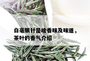 白毫银针是啥香味及味道，茶叶的香气介绍