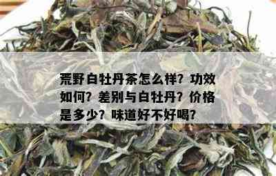 荒野白牡丹茶怎么样？功效如何？差别与白牡丹？价格是多少？味道好不好喝？