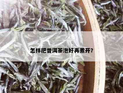 怎样把普洱茶泡好再煮开？