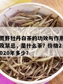 荒野牡丹白茶的功效与作用及禁忌，是什么茶？价格2020年多少？