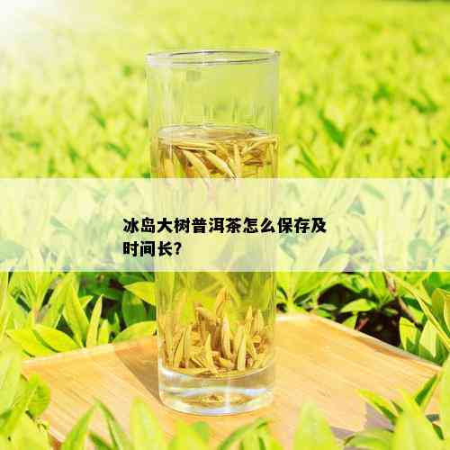 冰岛大树普洱茶怎么保存及时间长？