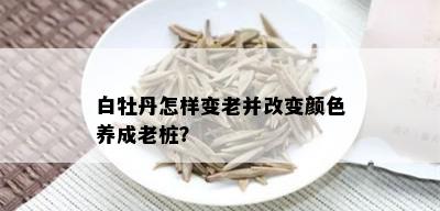 白牡丹怎样变老并改变颜色养成老桩？