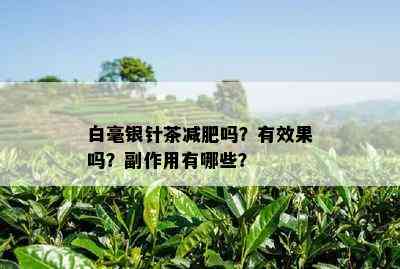 白毫银针茶减肥吗？有效果吗？副作用有哪些？