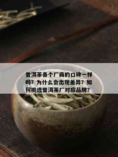 普洱茶各个厂商的口碑一样吗？为什么会出现差异？如何挑选普洱茶厂对应品牌？