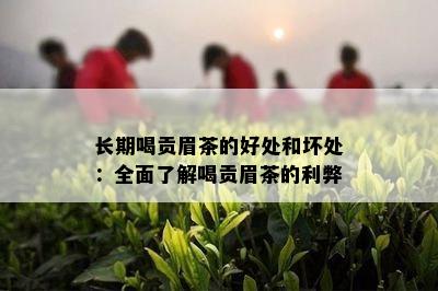 长期喝贡眉茶的好处和坏处：全面了解喝贡眉茶的利弊