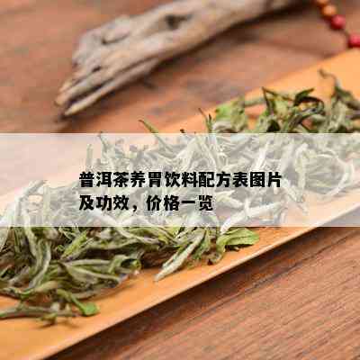 普洱茶养胃饮料配方表图片及功效，价格一览