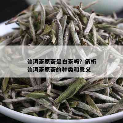 普洱茶原茶是白茶吗？解析普洱茶原茶的种类和意义