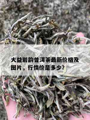 大益岩韵普洱茶最新价格及图片，行情价是多少？