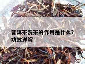 普洱茶洗茶的作用是什么？功效详解